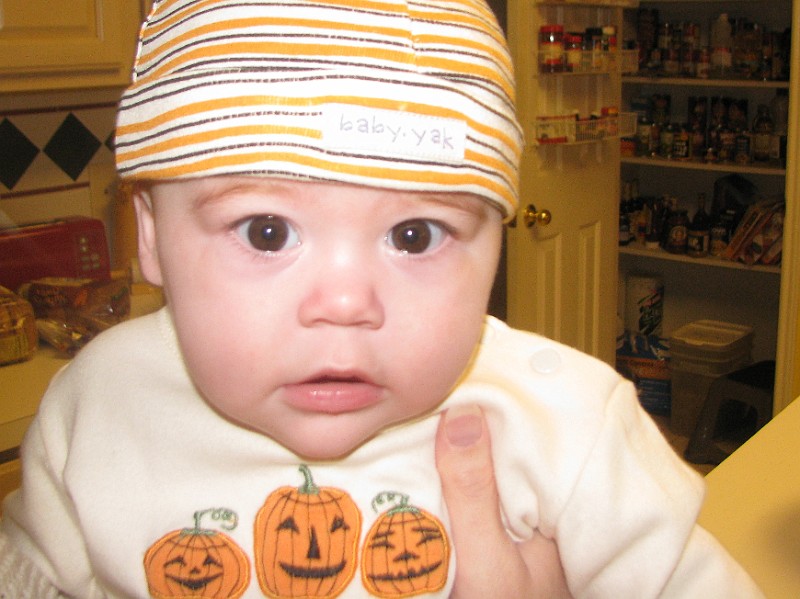 HalloweenOutfit2.JPG - Look at all those yummy spices in the pantry! Oh, and check out my pumpkin outfit from Peggy, via Joy!