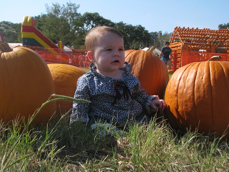 IMG_1688.JPG - Here come lots of pumpkin photos. Mommy couldn't edit them down.