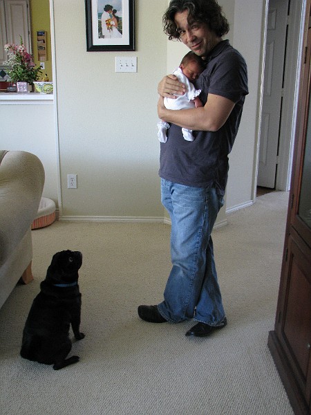 IMG_0553.JPG - Momo checks me out while Daddy keeps me safe.