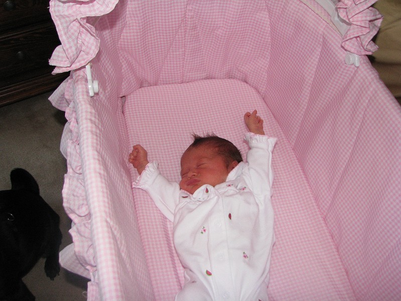 IMG_0558.JPG - I gotta stretch in my bassinet.