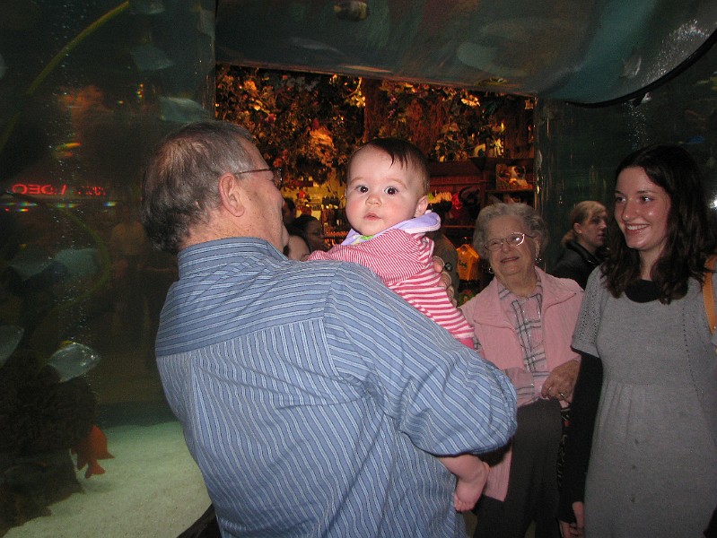 TheAllisonsAtRainforest.jpg - Rainforest Cafe is lots of fun. Granddad holds me. And I got to see Great Grandmother one last time. See her in the background? We miss her lots. My Aunt Nicole came too!