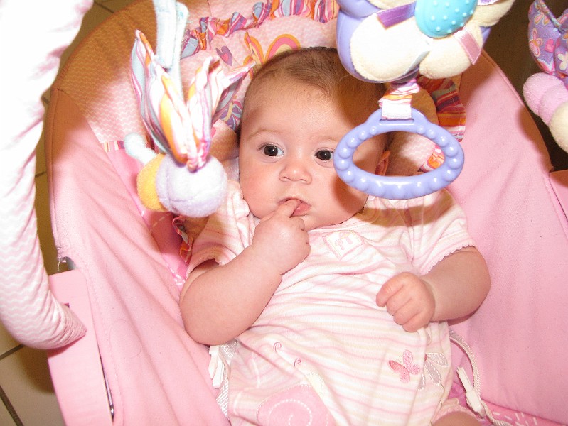 DanglingDragonfly.JPG - Hmmm. How do I get that dangling dragonfly off it's Velcro attachment and into my piehole?