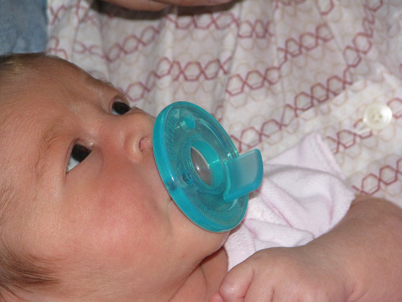 IMG_0678.jpg - Staring at Daddy.