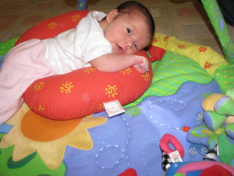 IMG_0727.jpg - Figuring out what Tummy Time  is.