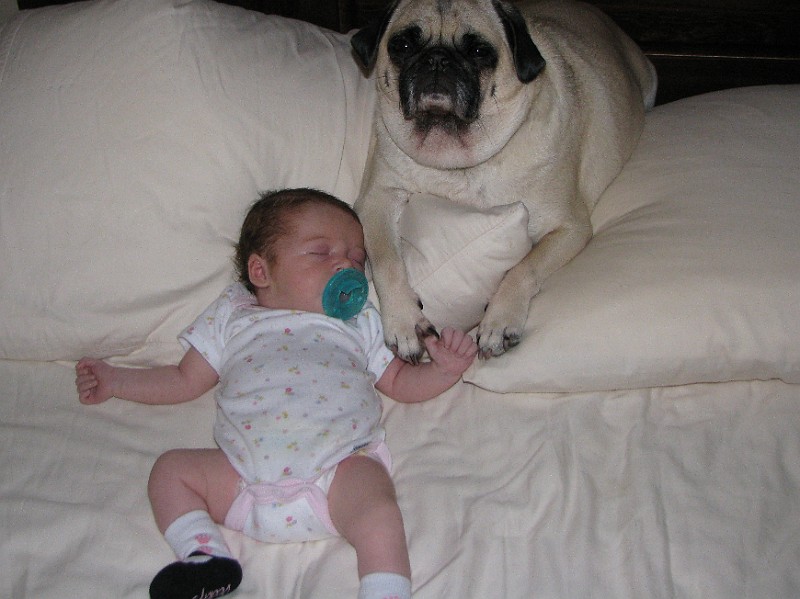 IMG_0789.JPG - She's a good girl.