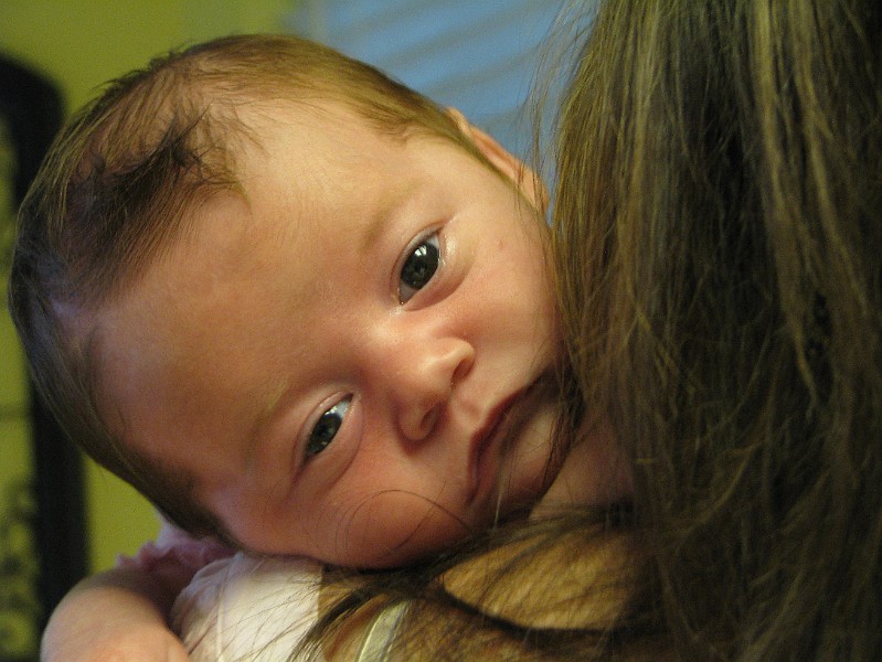 MommysNeck.JPG - Resting on Mommy's neck.