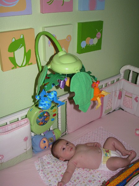 Mycrib.JPG - Who are these crazy rainforest guys circulating above my head?