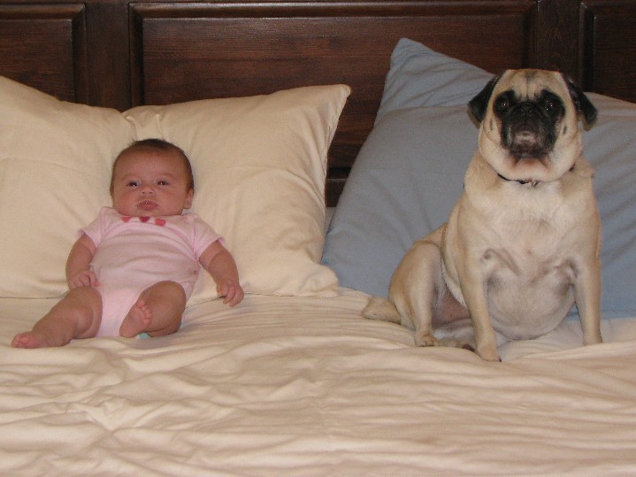 spankyalliebed.JPG - Spanky Mae and I watch a little TV before we call it a night.